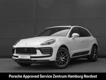 Macan