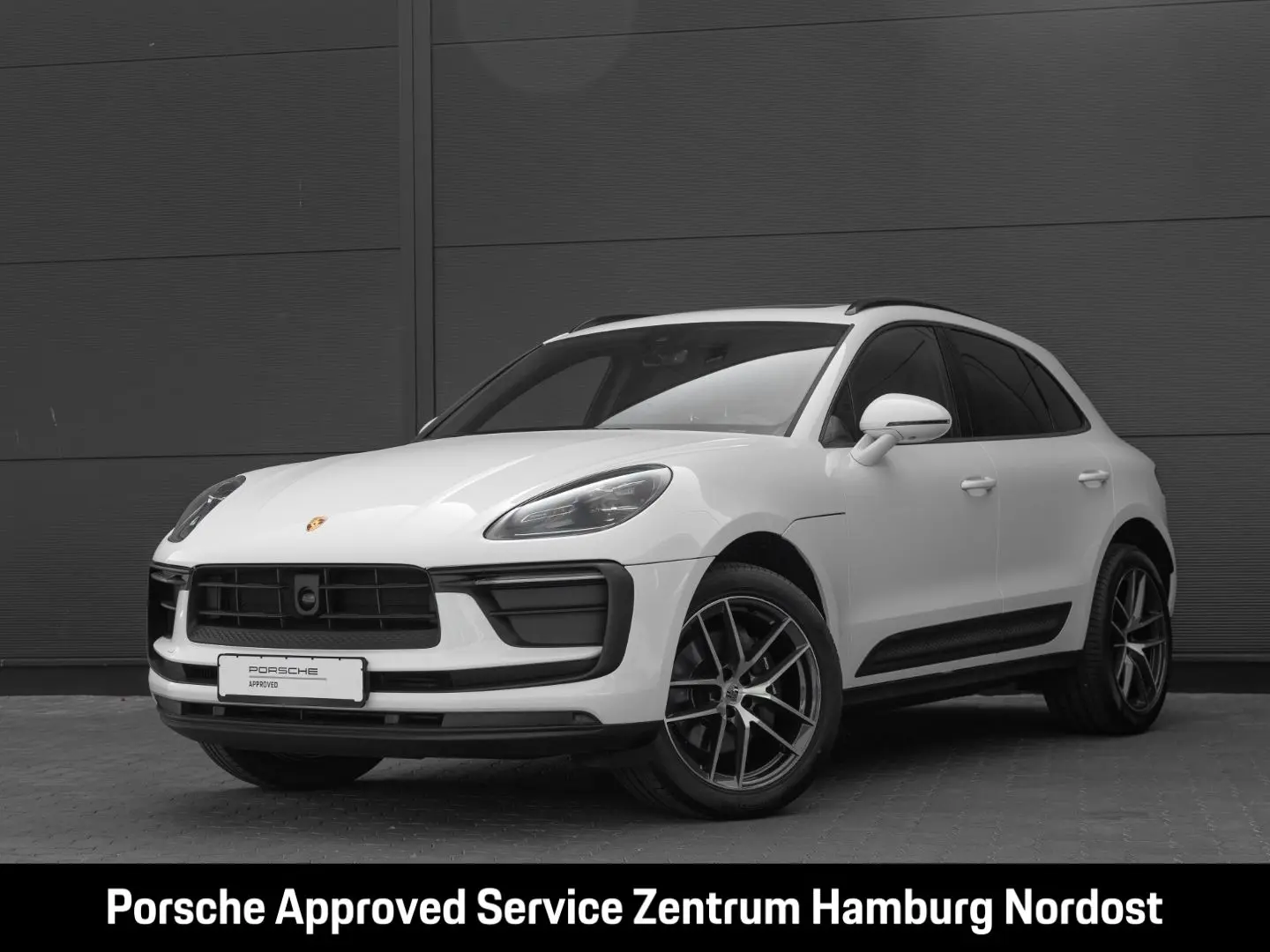 Macan