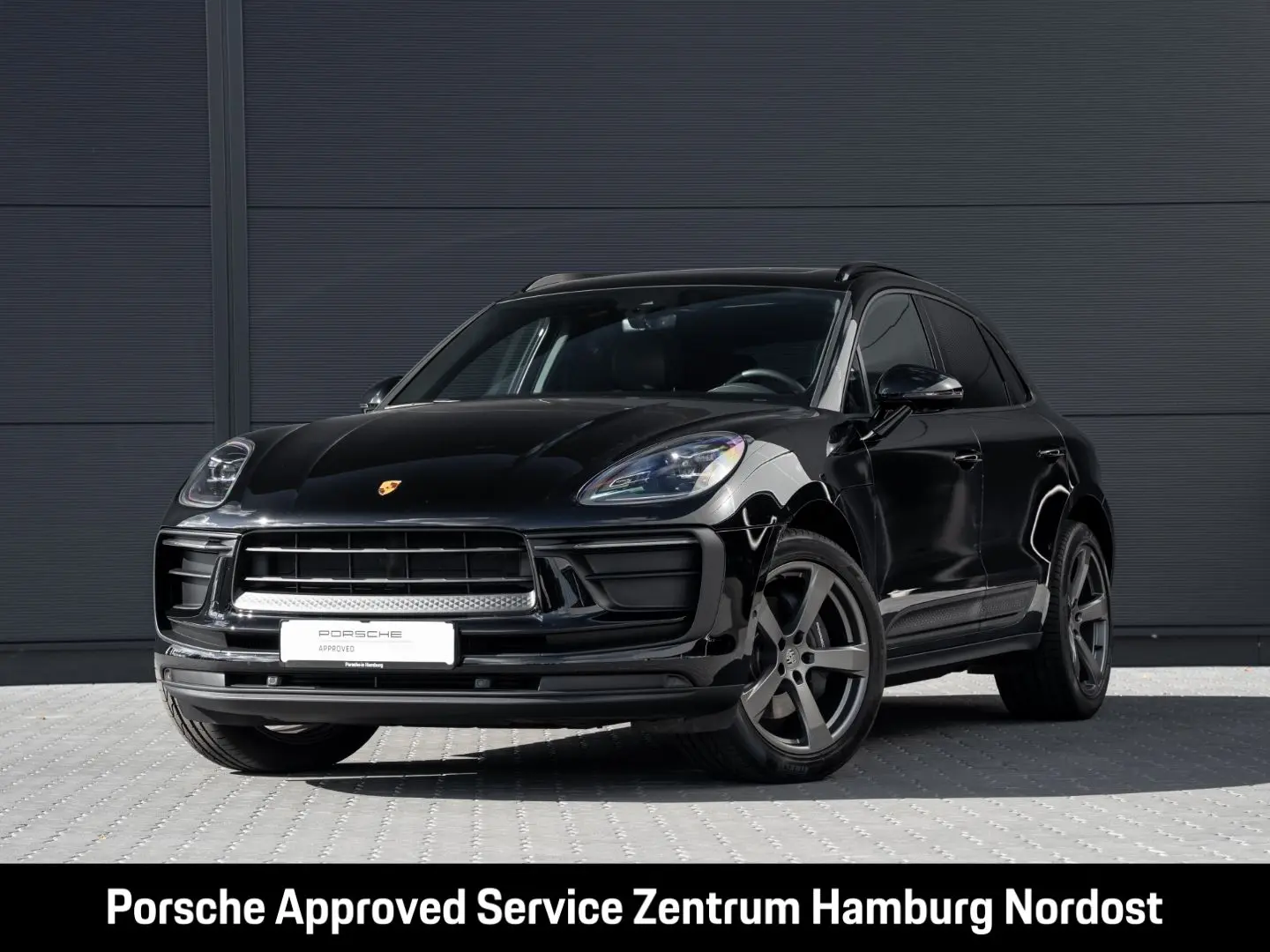 Macan