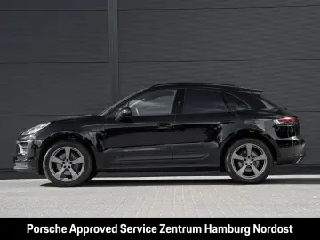 Macan
