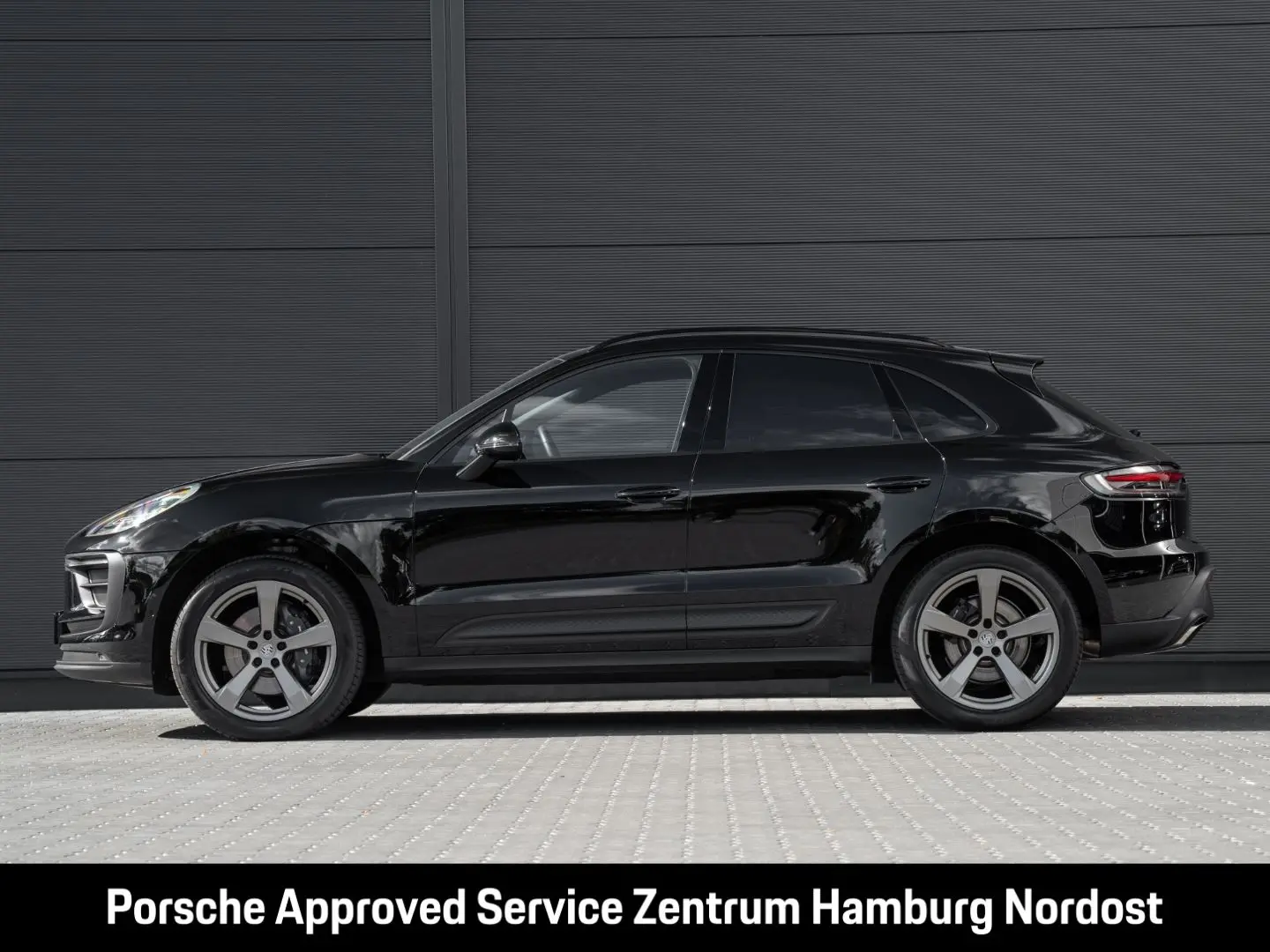 Macan