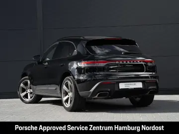 Macan