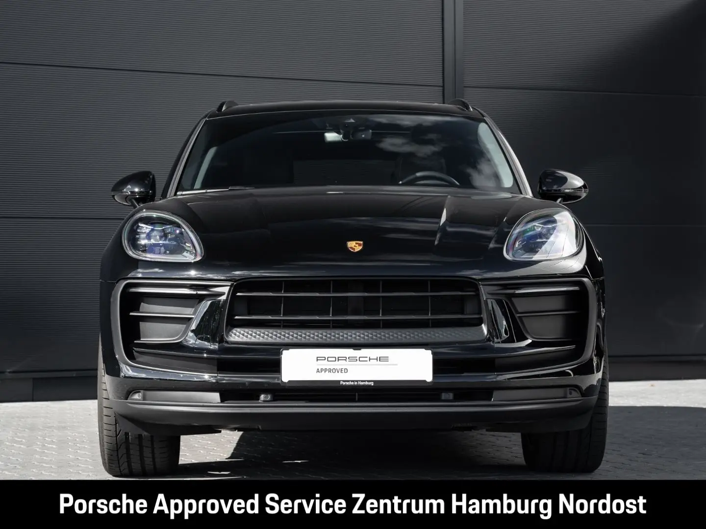Macan