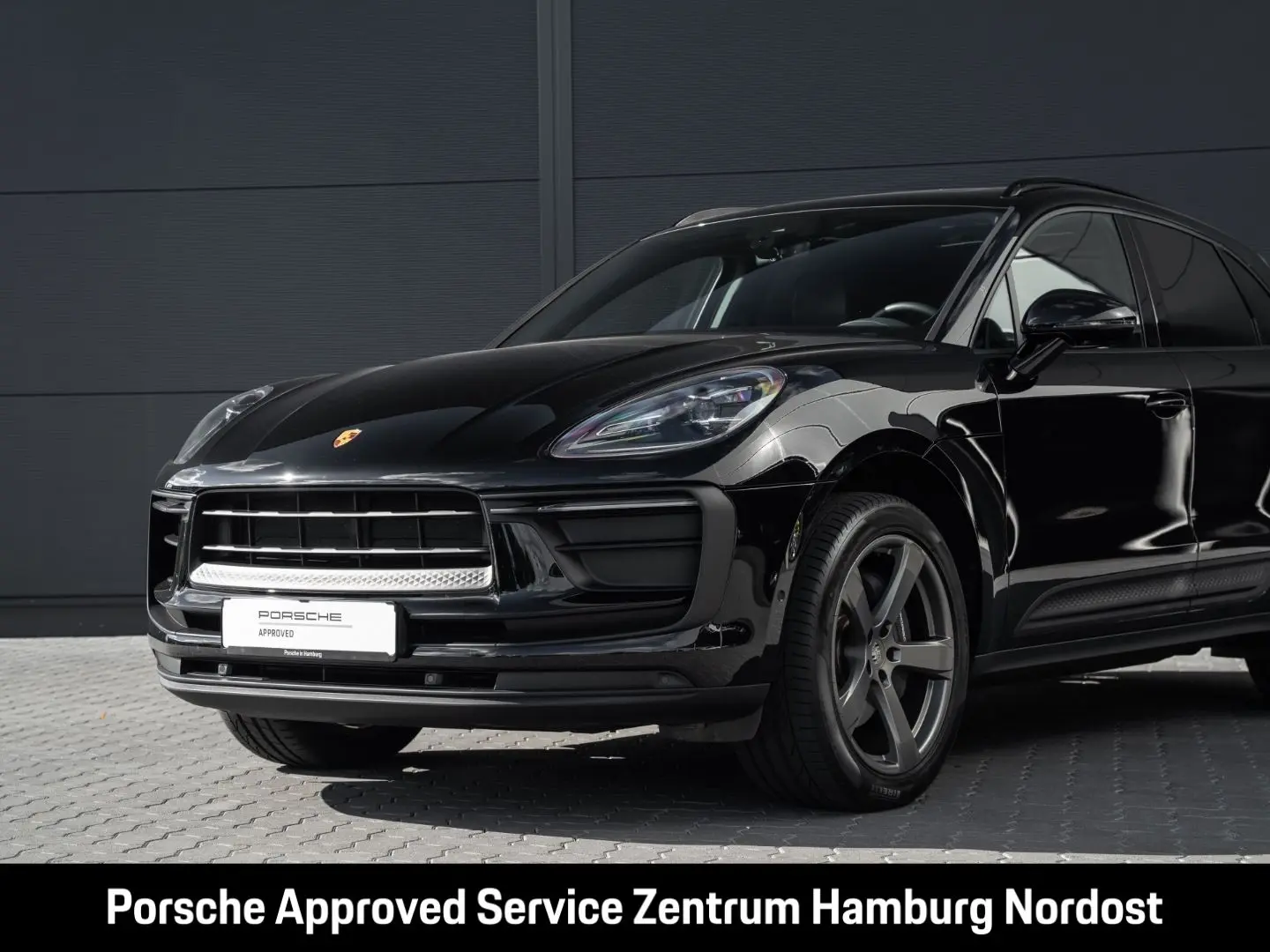Macan