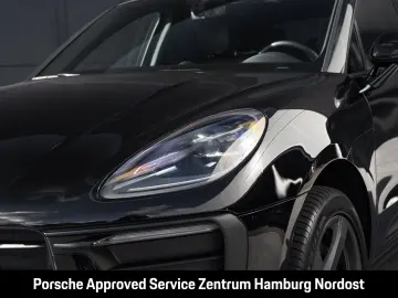 Macan