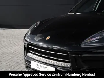 Macan