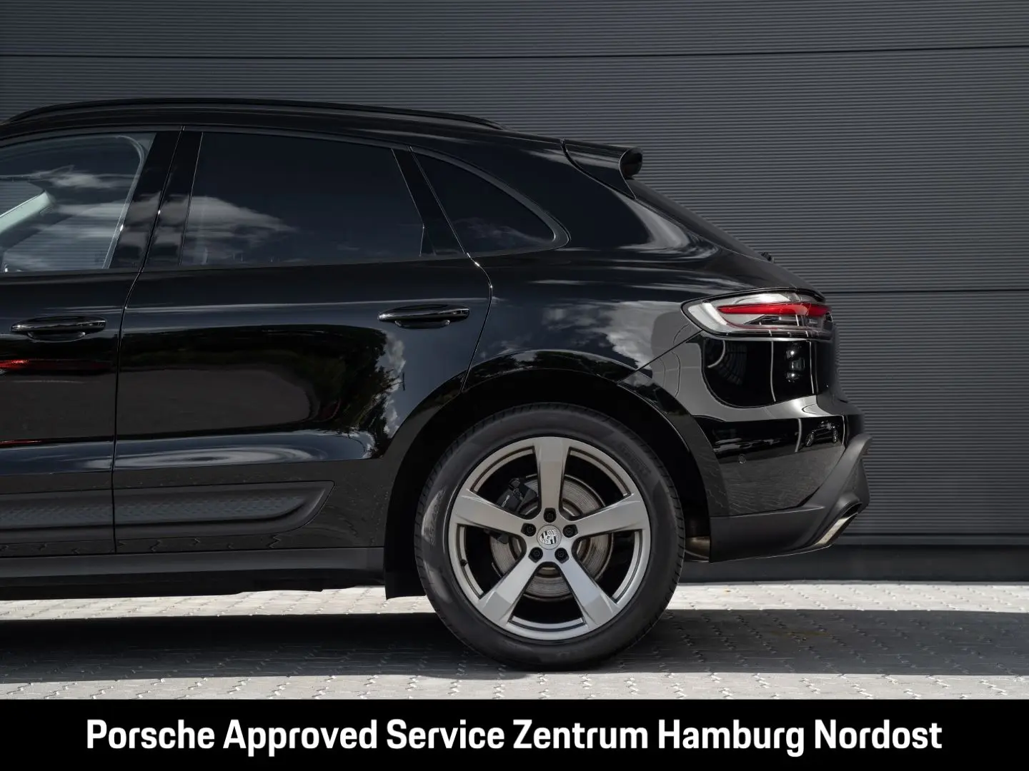 Macan