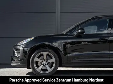 Macan