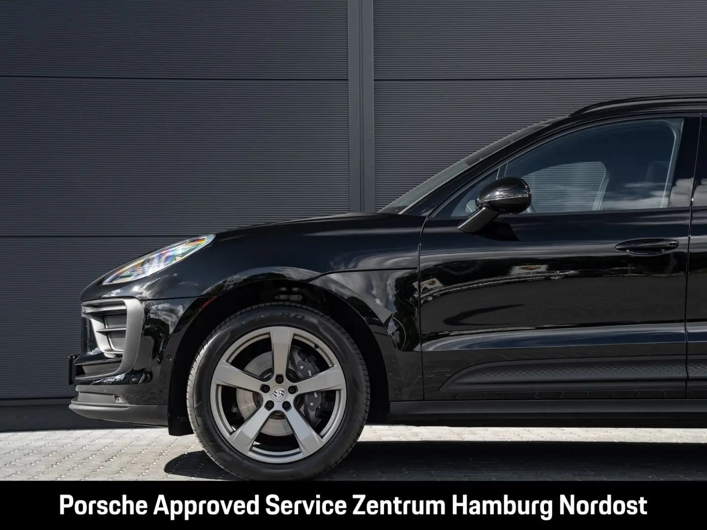 Macan