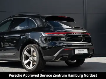 Macan