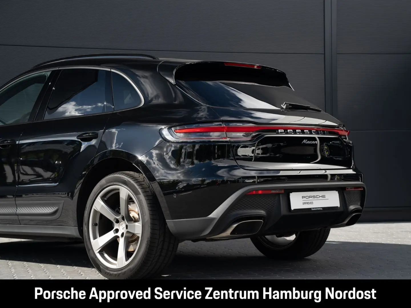 Macan