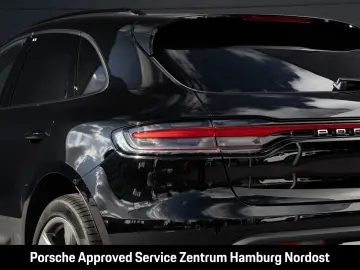 Macan