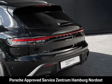 Macan