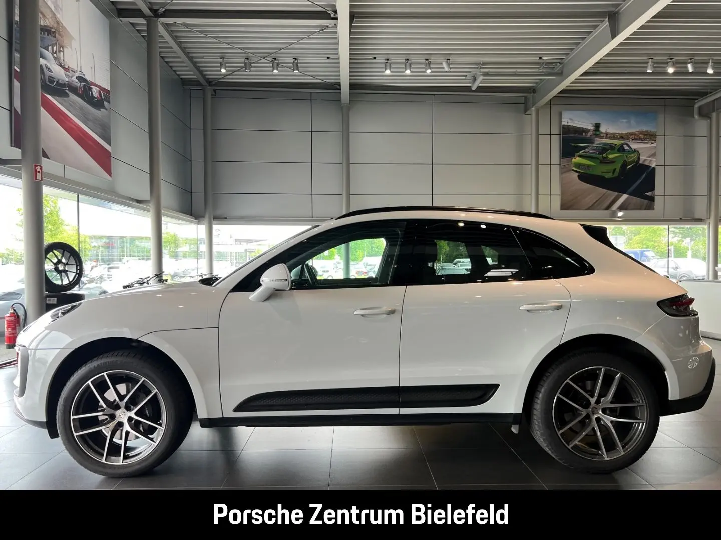 Macan