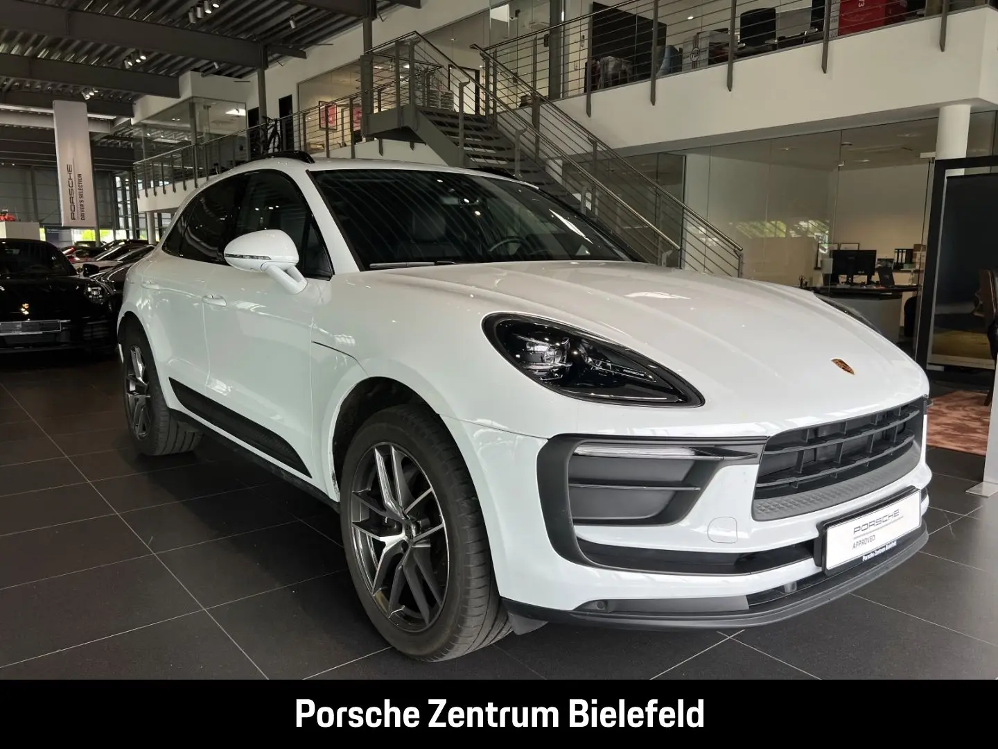 Macan
