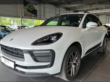 Macan