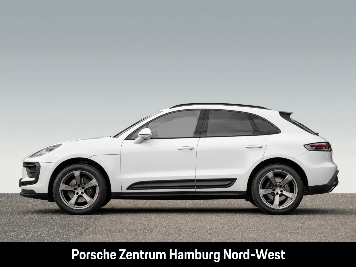 Macan