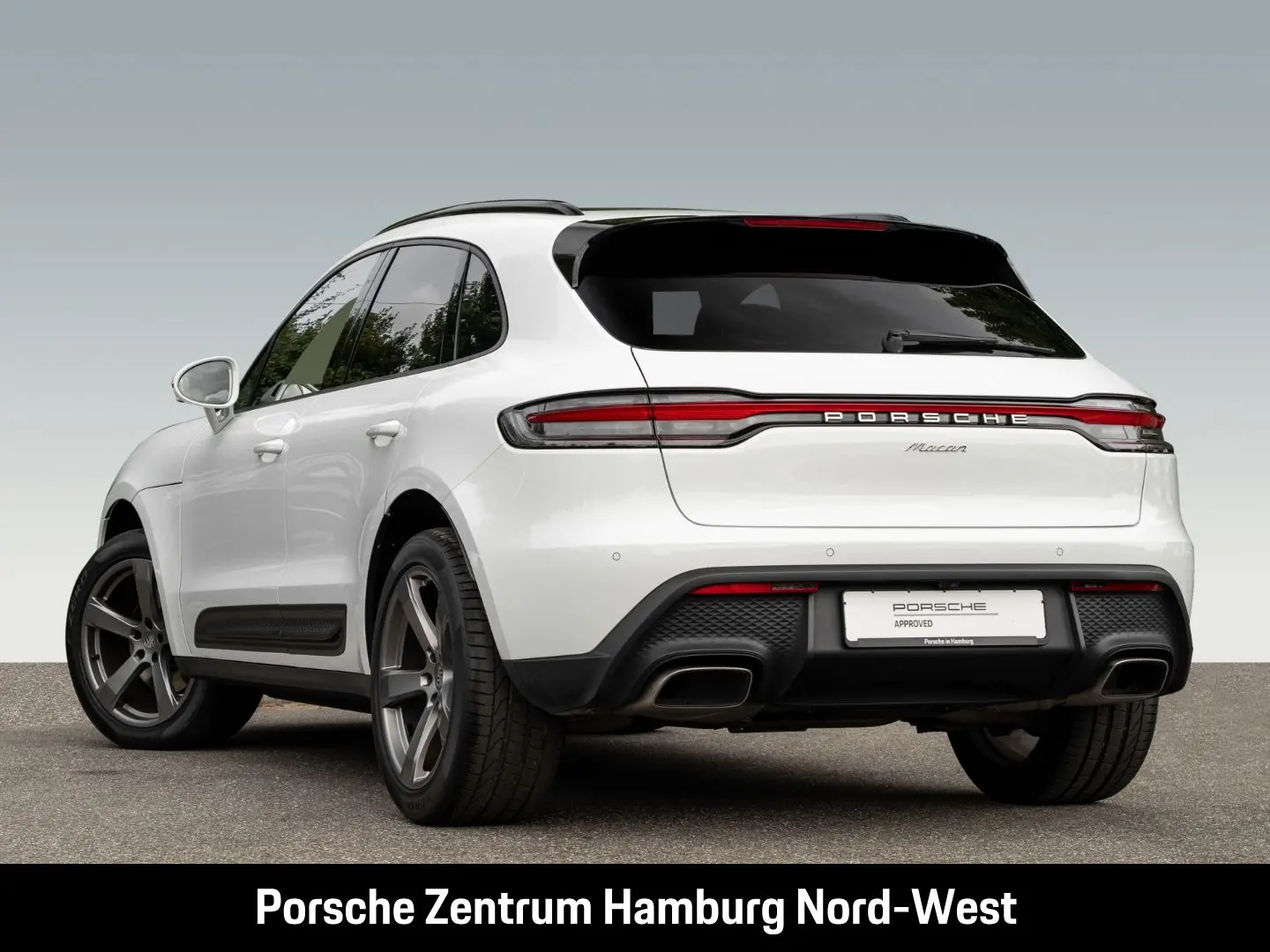Macan