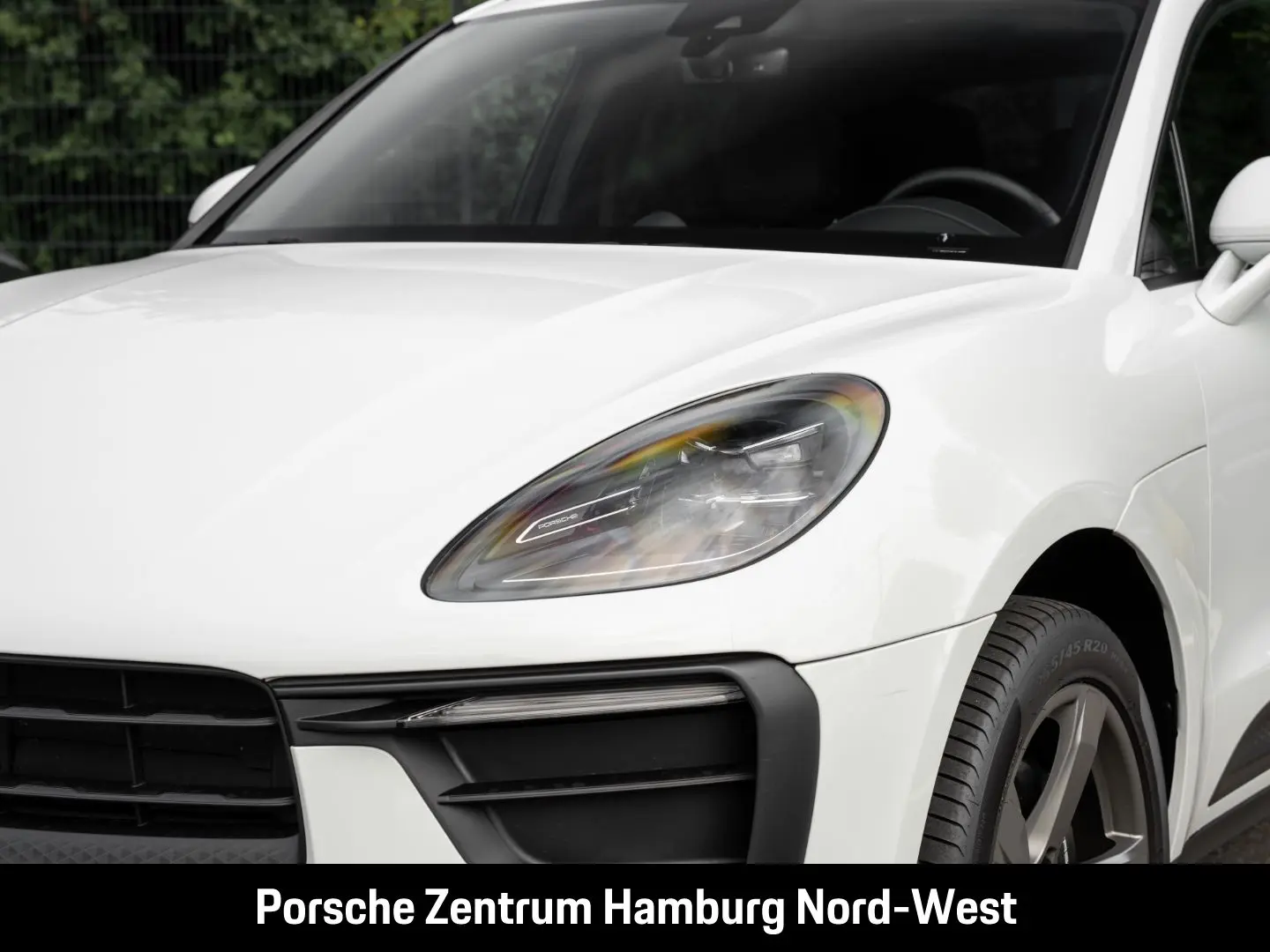 Macan