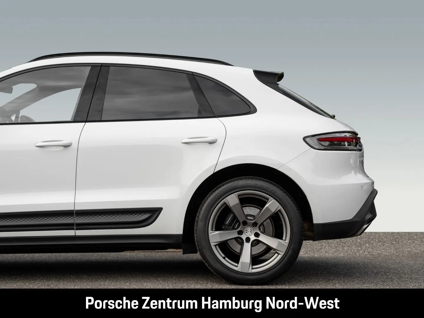 Macan