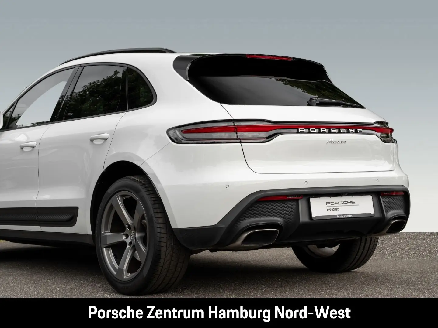 Macan