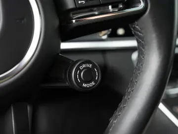 Panamera 4 E-Hybrid Platinum Edition HA-Lenkung