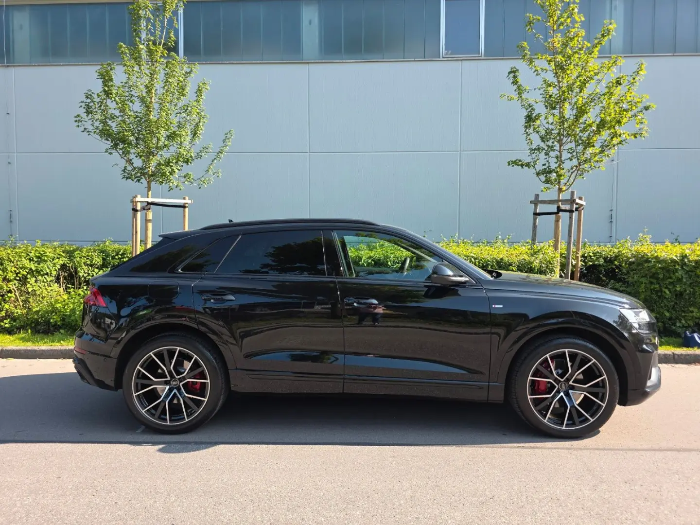 Q8 50 TDI quattro S-Line/Raute/Pano/Tour/Stadt