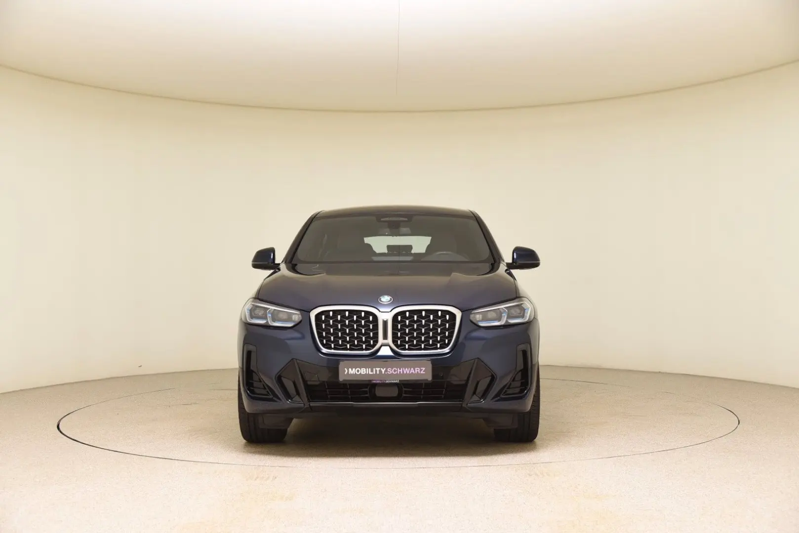 X4 xDrive30d M Sport Head-Up Laser ACC UVP91.900