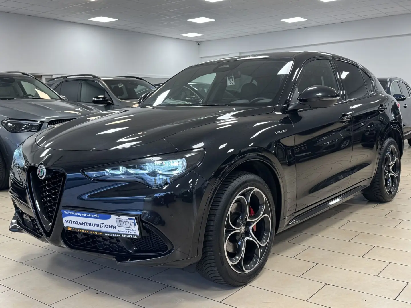 Stelvio Veloce*Q4*Sport*Harman/Kardon*Leder*ACC