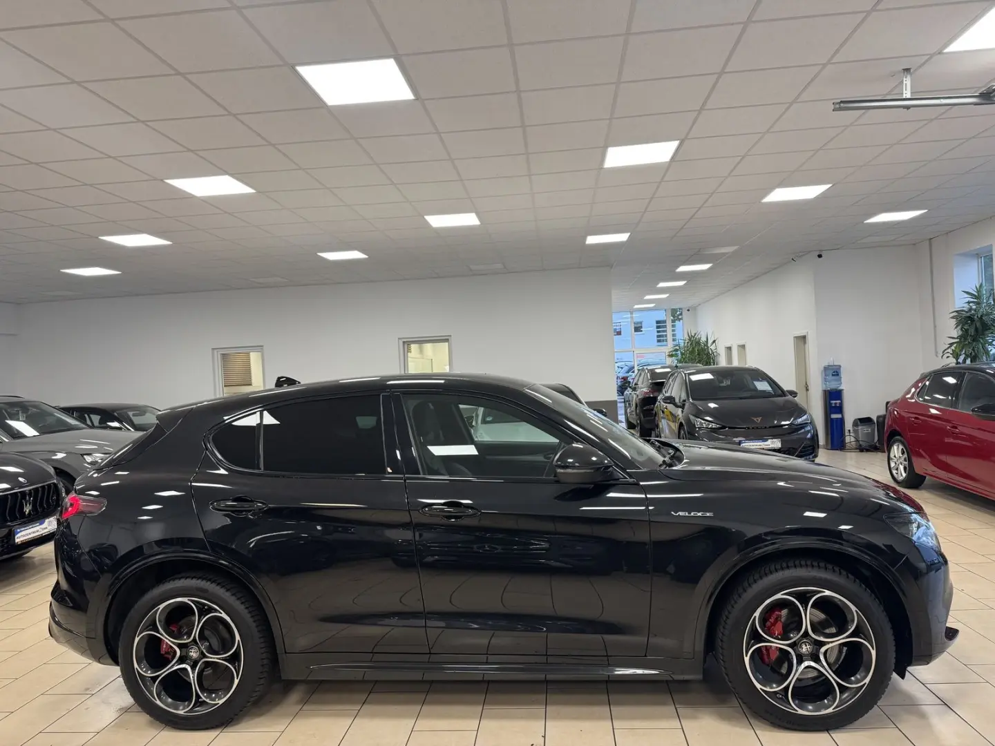 Stelvio Veloce*Q4*Sport*Harman/Kardon*Leder*ACC