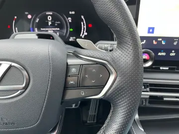 RX 500h F SPORT+ *21Zoll*HUD*360°*Pano*Levinson*