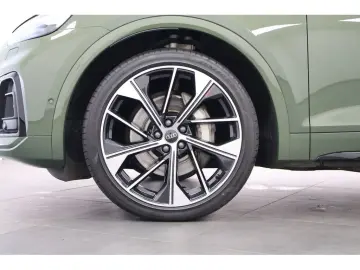 Q5 55 TFSI e quattro S-line S tronic,Navi,Matrix