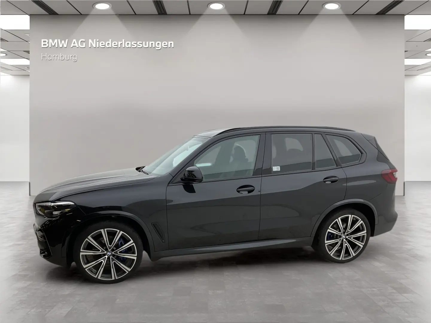 X5 xDrive30d M Sport Standheizung AHK Kamera