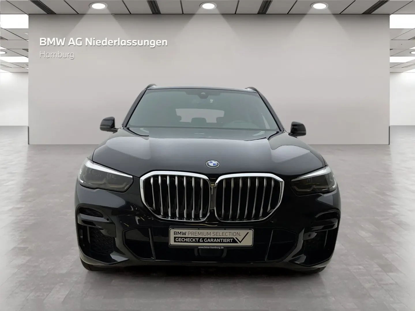 X5 xDrive30d M Sport Standheizung AHK Kamera