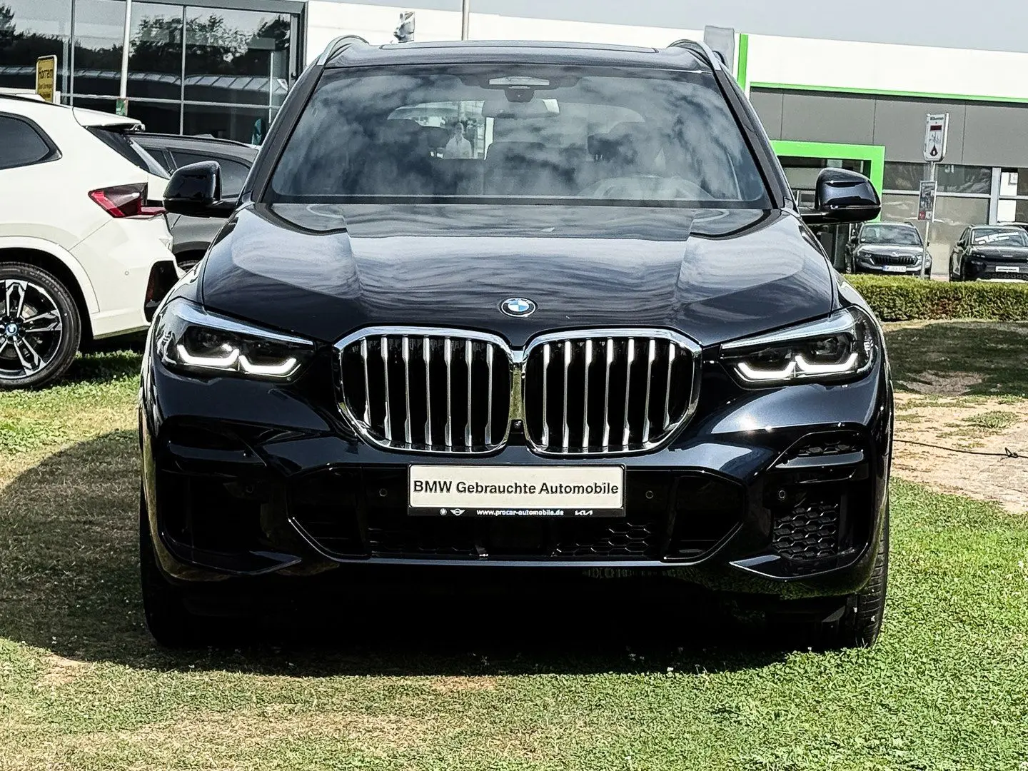 X5 xDrive30d M-Sport Adpt. M-FW PANO DA Pro PA+