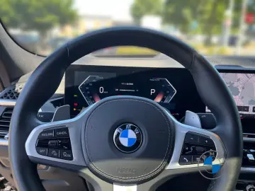 X6 xDrive30d M Sport Pro Luftfd. Pano Sthzg AHK