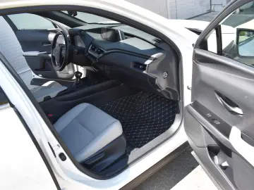 Lexus UX 250H Hybr.