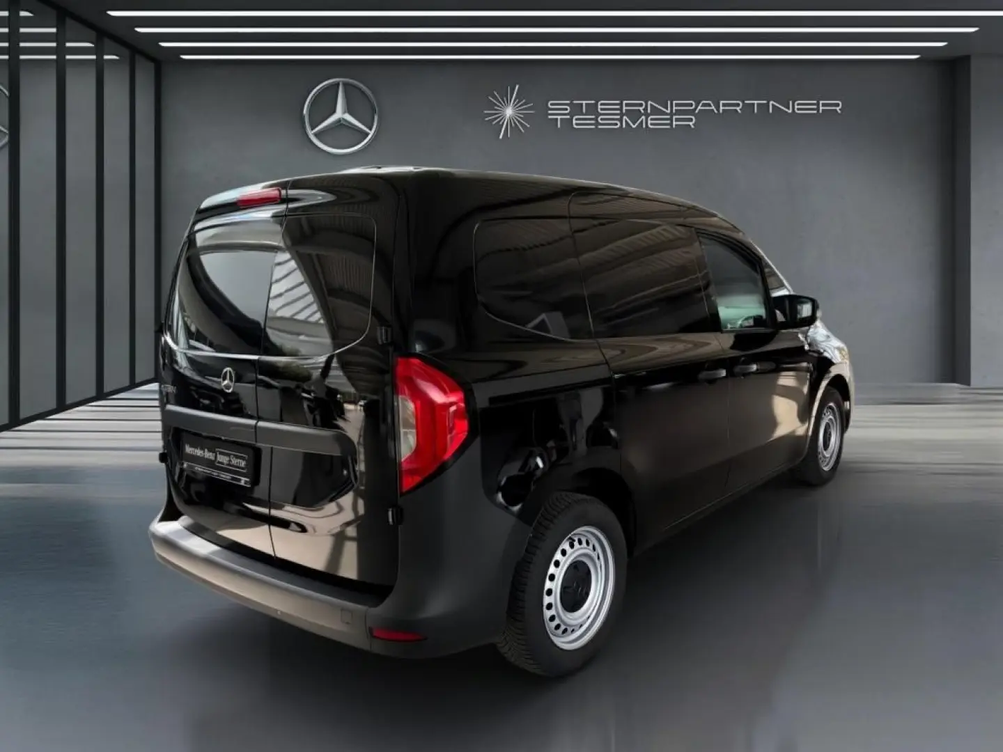 eCitan Citan Kasten 5 J Garantie