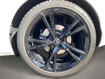 Q7 50 TDI