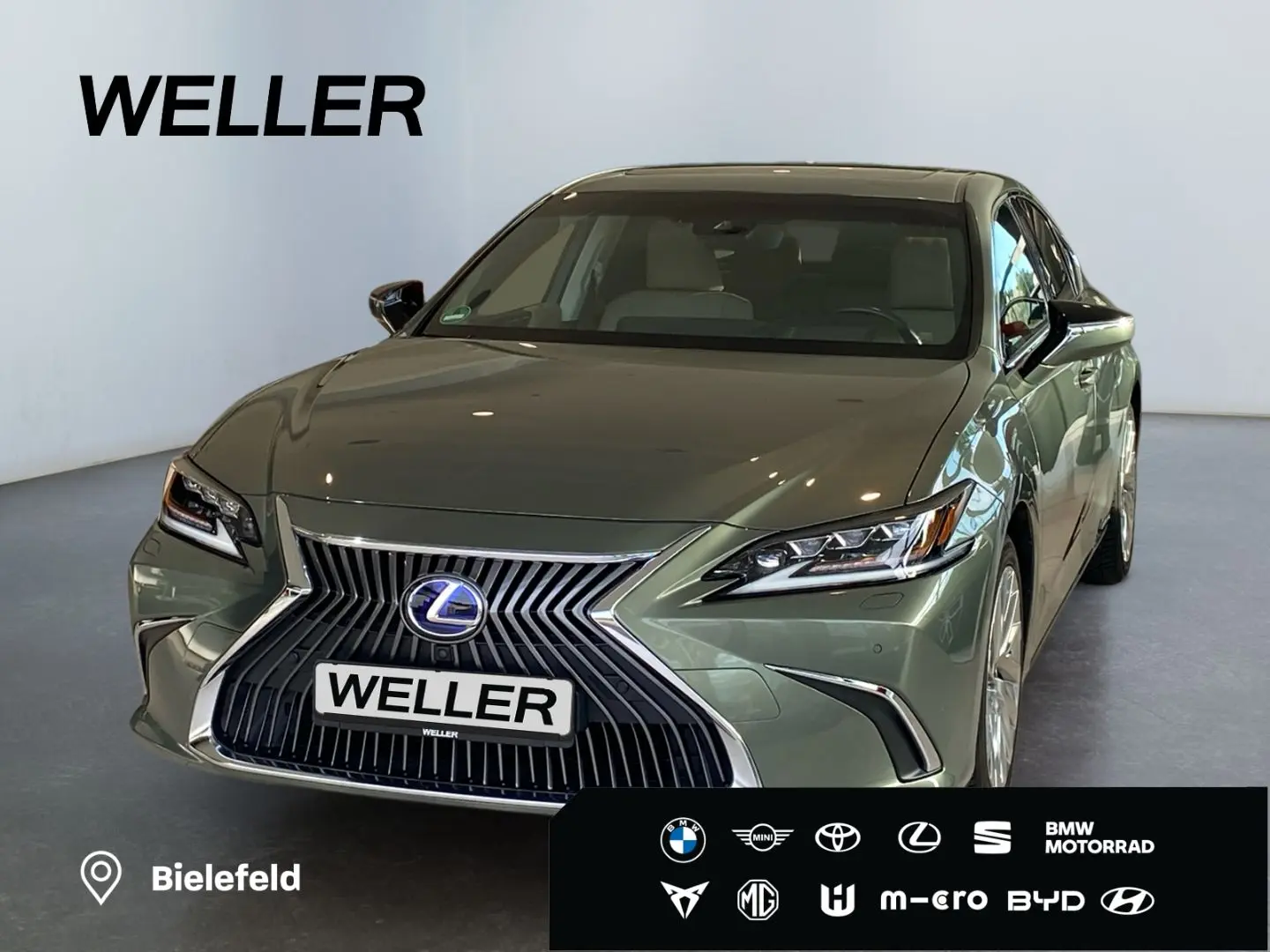 ES 300 h *Bi-LED*HUD*Leder*360*GSD*Levinson*ACC*