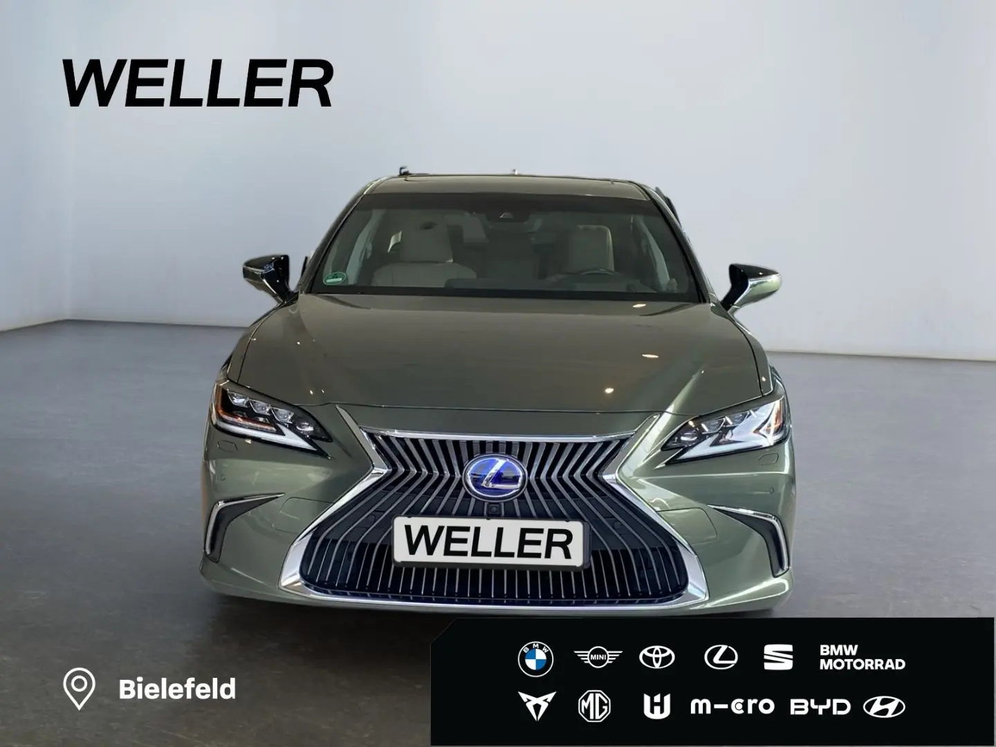 ES 300 h *Bi-LED*HUD*Leder*360*GSD*Levinson*ACC*