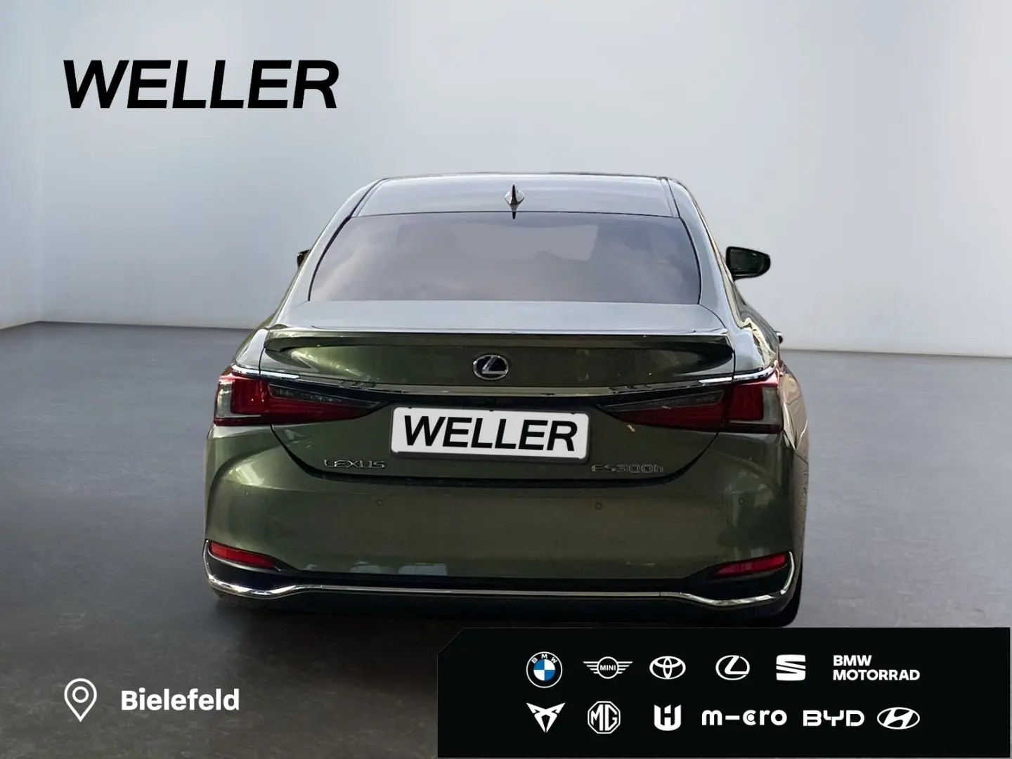 ES 300 h *Bi-LED*HUD*Leder*360*GSD*Levinson*ACC*