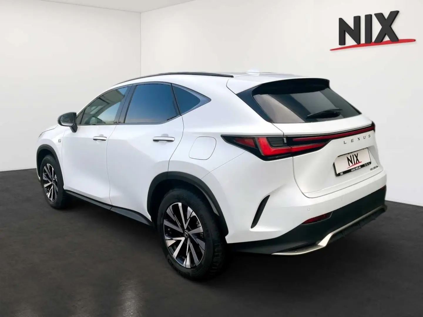 NX 450h+ E-FOUR F SPORT