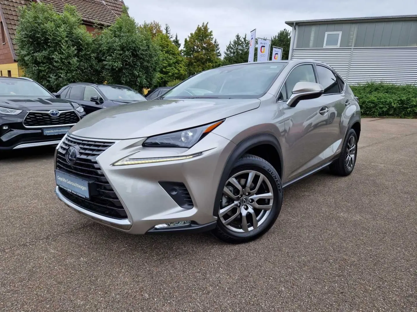 NX 300h E-FOUR Executive Line Panodach