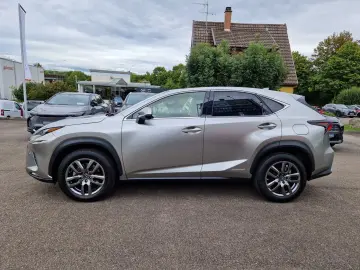 NX 300h E-FOUR Executive Line Panodach