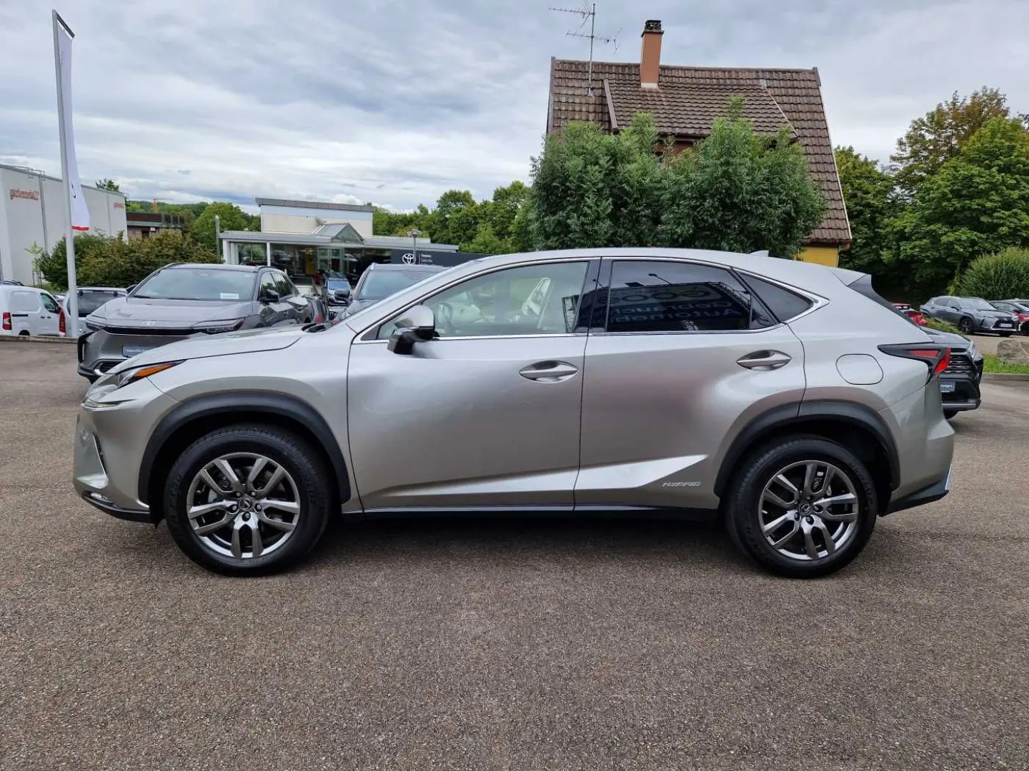 NX 300h E-FOUR Executive Line Panodach