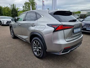 NX 300h E-FOUR Executive Line Panodach