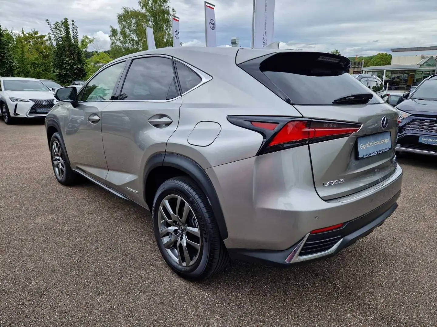NX 300h E-FOUR Executive Line Panodach
