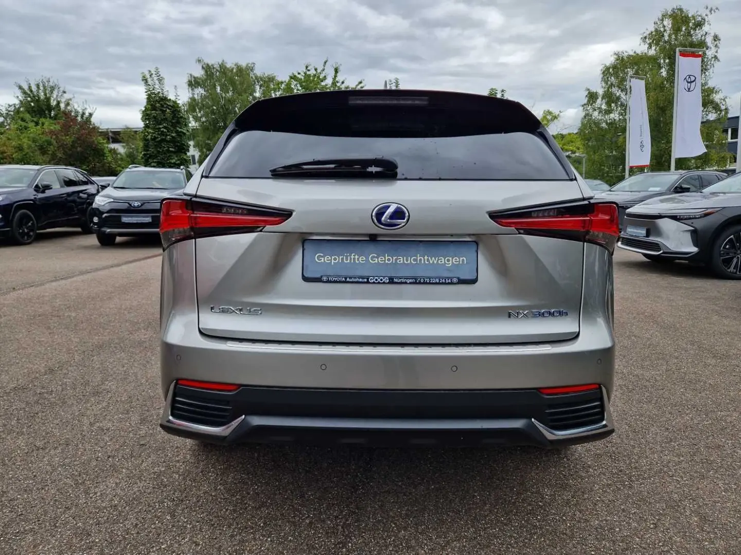 NX 300h E-FOUR Executive Line Panodach