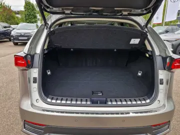 NX 300h E-FOUR Executive Line Panodach